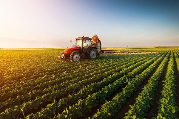 Food & Agriculture